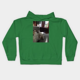 Carol Cat Name Change Kids Hoodie